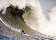 熊猫体育互动-2026世界杯之夜，卡马文加冠军级表现，法兰西新王加冕